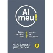 Al meu! Cum ne controleaza viata regulile ascunse ale proprietatii - Michael Heller