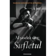 Al saselea simt: Sufletul - Narcis Constantin Avadanei