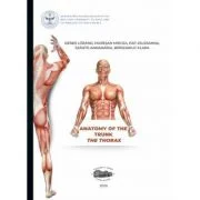 Anatomy of the trunk. The thorax - Denes Lorand