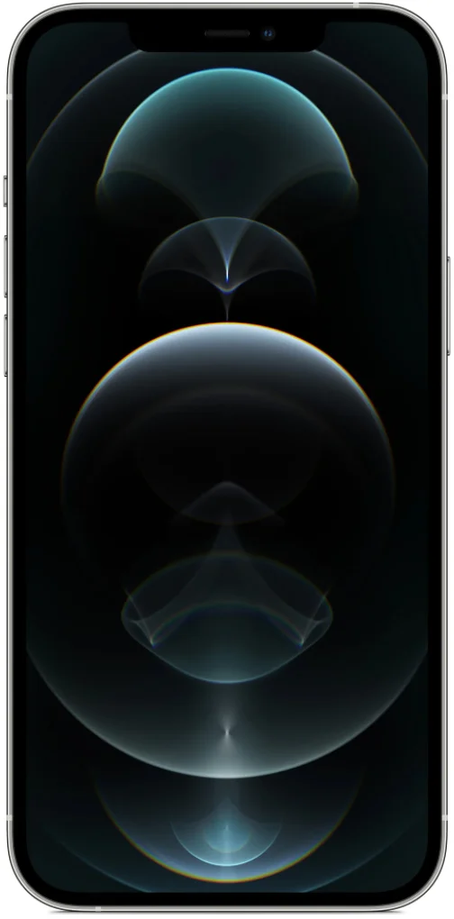 Apple iPhone 12 Pro Max 256 GB Silver Bun