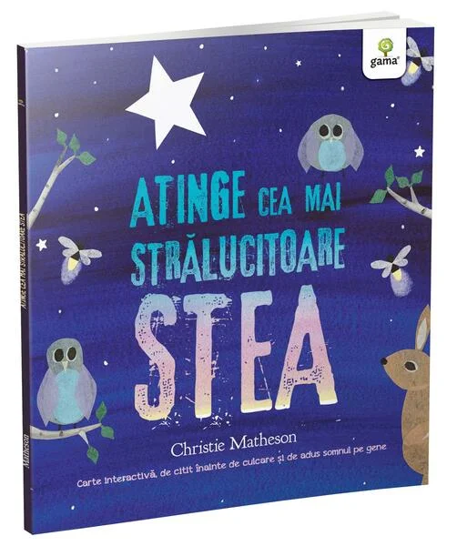 Atinge cea mai strălucitoare stea - Paperback brosat - Christie Matheson - Gama