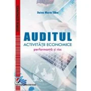 Auditul activitatii economice. Performanta si risc - Doina Maria Tilea