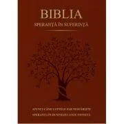 Biblia. Speranta in suferinta, Coperta maro