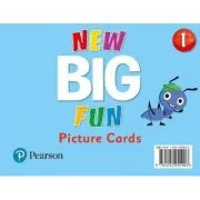 Big Fun Refresh Level 1 Picture Cards