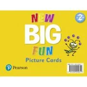 Big Fun Refresh Level 2 Picture Cards