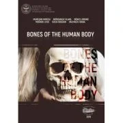 Bones of the human body - Mircea Muresan