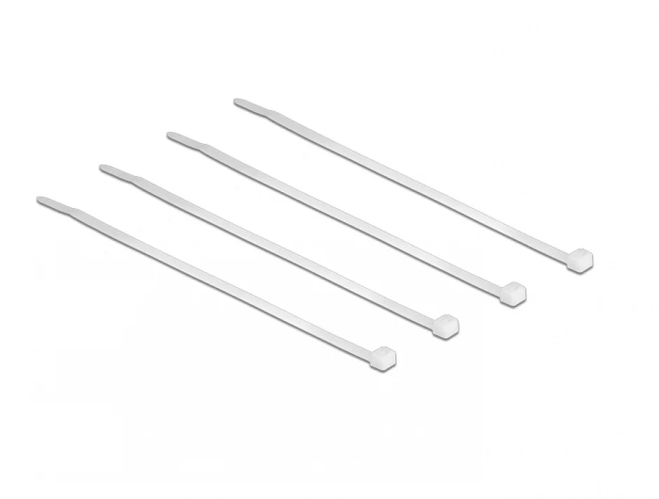 Bride transparente L 100 x W 2.5 mm 100 buc, Delock 18605