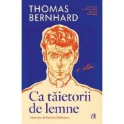 Ca taietorii de lemne. O iritare - Thomas Bernhard