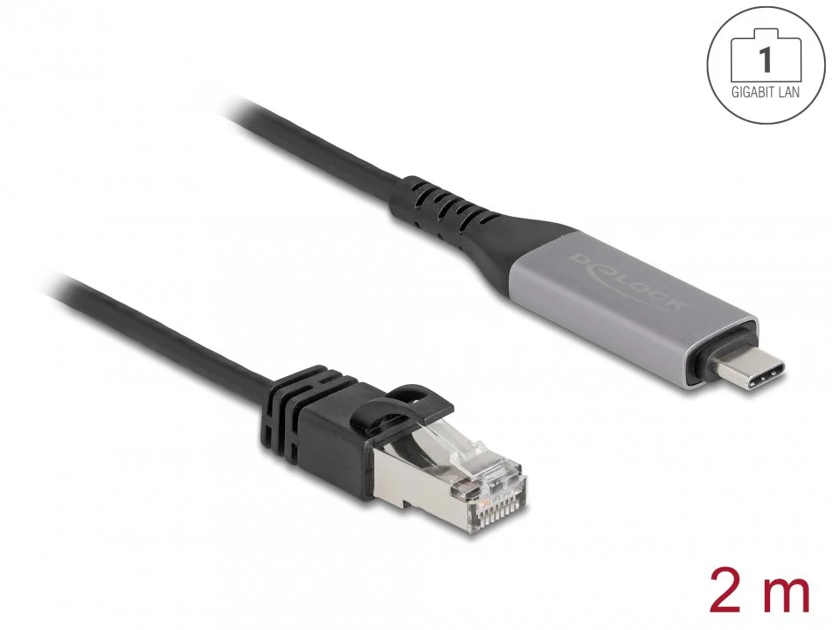Cablu de retea USB Type C la RJ45 Gigabit LAN 2m, Delock 60760