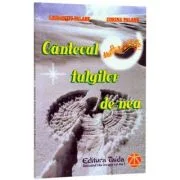 Cantecul fulgilor de nea - Corina Palade