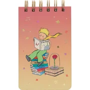 Carnet Le Petit Prince Degrade, Kiub