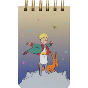 Carnet Le Petit Prince Renard, Kiub
