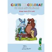 Carte de colorat pe teme saptamanale, grupa mare