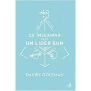 Ce inseamna sa fii un lider bun. De ce este importanta inteligenta emotionala - Daniel Goleman