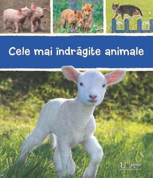 Cele mai îndrăgite animale - Paperback - *** - Univers Enciclopedic