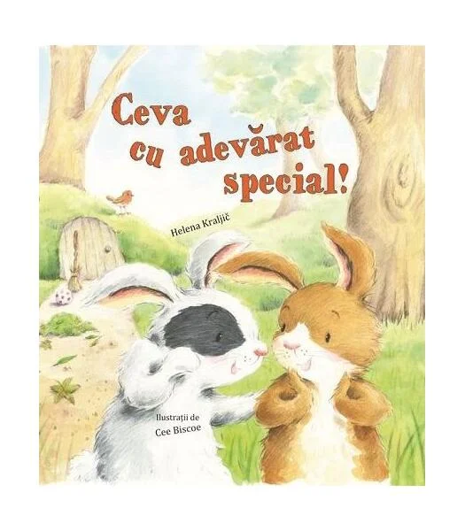 Ceva cu adevărat special - Hardcover - Helena Kraljic - Didactica Publishing House