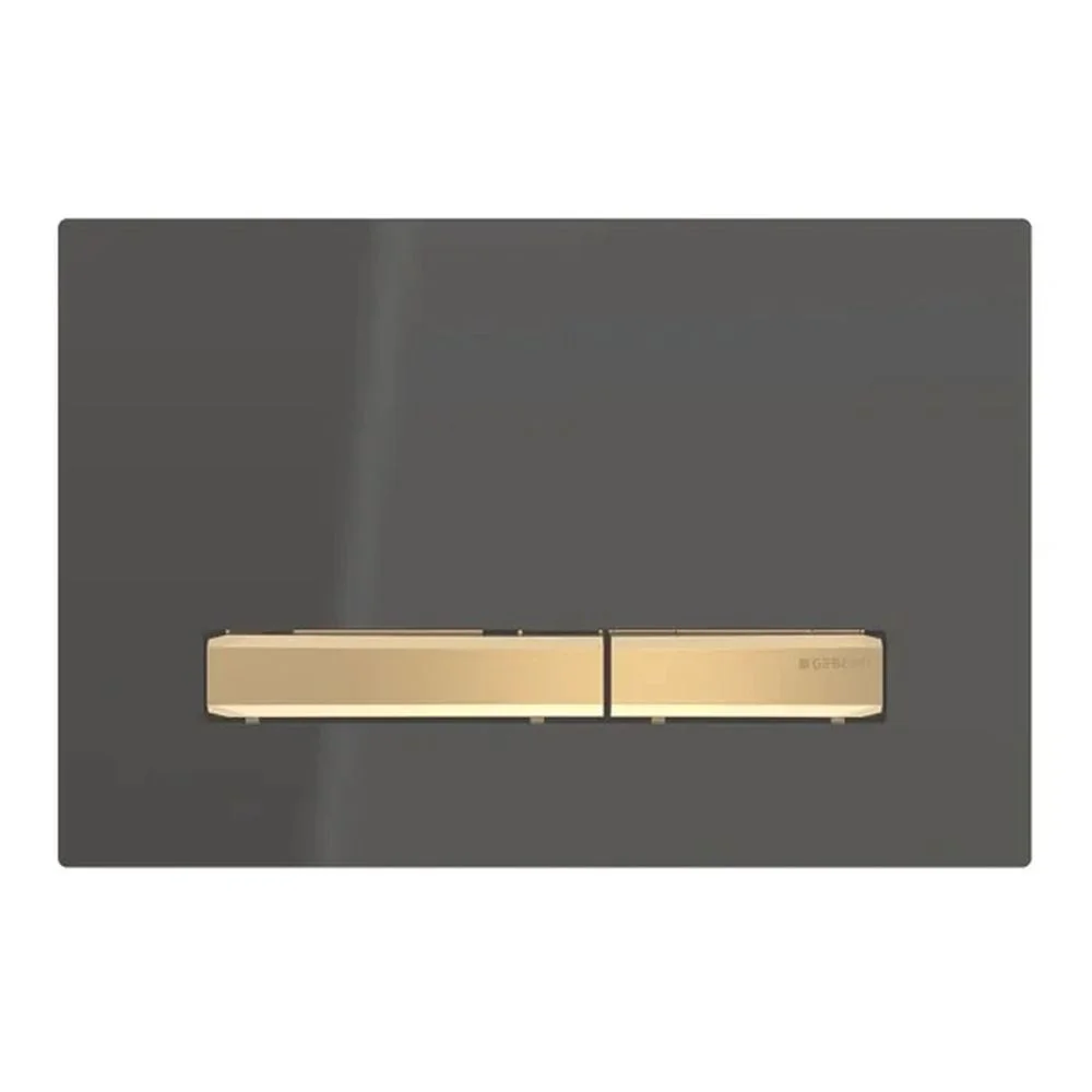 Clapeta actionare rezervor wc Geberit, negru detalii alama, Sigma50