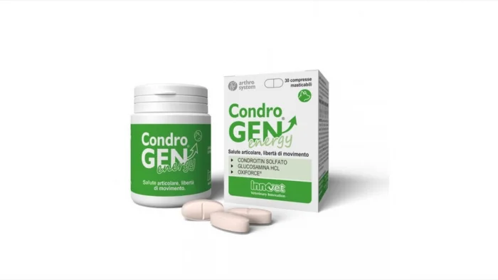 CondroGEN Energy, 30 tablete