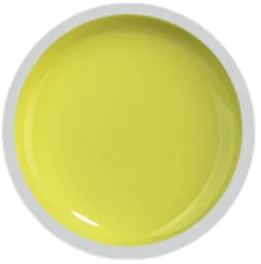 COVER COLOR GEL FSM 015 - CC-015 - Everin.ro