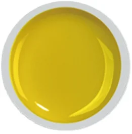 COVER COLOR GEL FSM 021 - CC-021 - Everin.ro