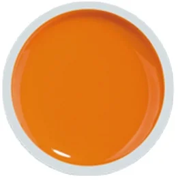 COVER COLOR GEL FSM 052 - CC-052 - Everin.ro