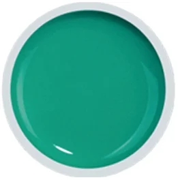 COVER COLOR GEL FSM 058 - CC-058 - Everin.ro