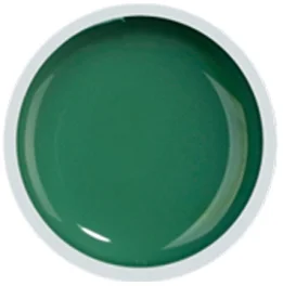 COVER COLOR GEL FSM 060 - CC-060 - Everin.ro