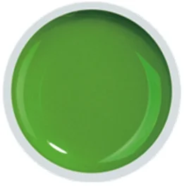 COVER COLOR GEL FSM 067 - CC-067 - Everin.ro