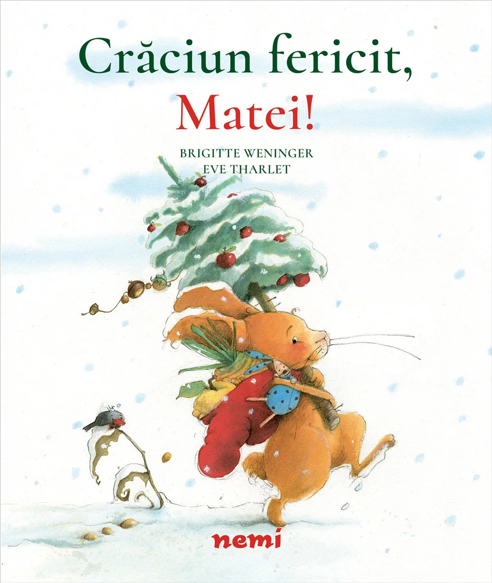 Crăciun fericit, Matei!
