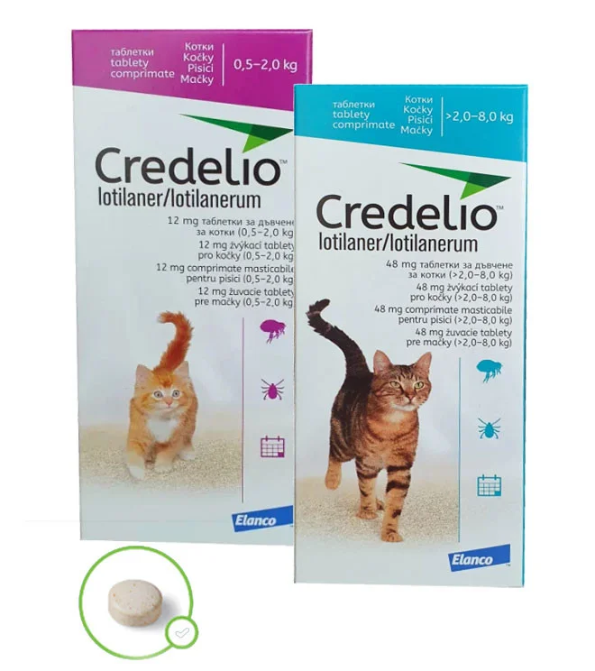 Credelio Pisica, 1 tableta