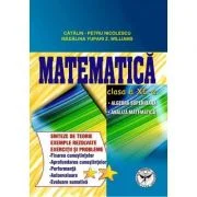 Culegere de exercitii. Matematica, Clasa a 11-a. Sinteze si teorie. Algebra superioara, Analiza matematica - Catalin Petru Nicolescu
