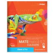 Culegere de matematica. Clasa a 5-a. Volumul 2 - Ion Cicu
