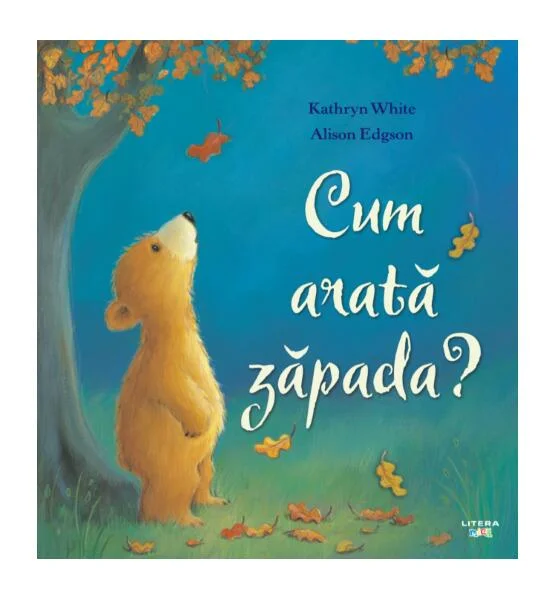Cum arată zăpada? - Paperback brosat - Alison Edgson, Kathryn White - Litera mică