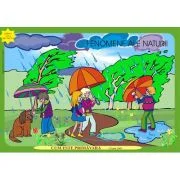 Cum este primavara? Peisaje, fenomene ale naturii, jetoane - Florica Bercea