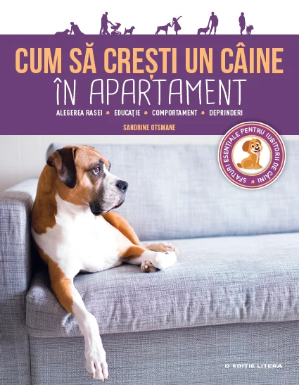 Cum să crești un câine în apartament