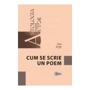 Cum se scrie un poem - Ion Pop
