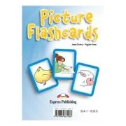 Curs limba engleza Set Sail 3. Picture flashcards - Jenny Dooley, Virginia Evans