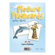 Curs limba engleza Set Sail 4. Picture flashcards - Jenny Dooley, Virginia Evans