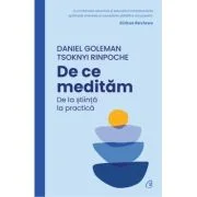 De ce meditam. De la stiinta la practica - Daniel Goleman