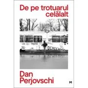 De pe trotuarul celalalt - Dan Perjovschi