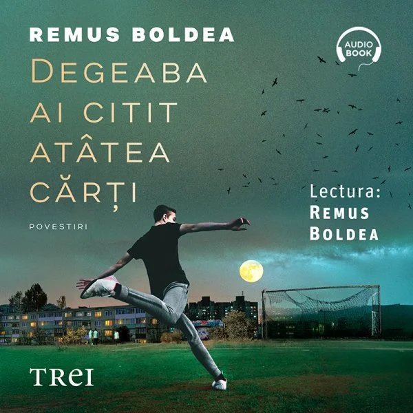 Degeaba ai citit atâtea cărți - Audiobook - Remus Boldea