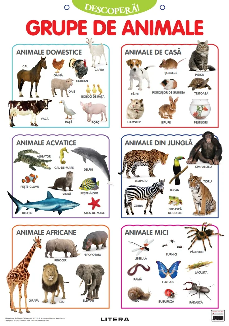 Descopera! Grupe de animale (planse educationale)
