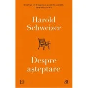 Despre asteptare - Harold Schweizer