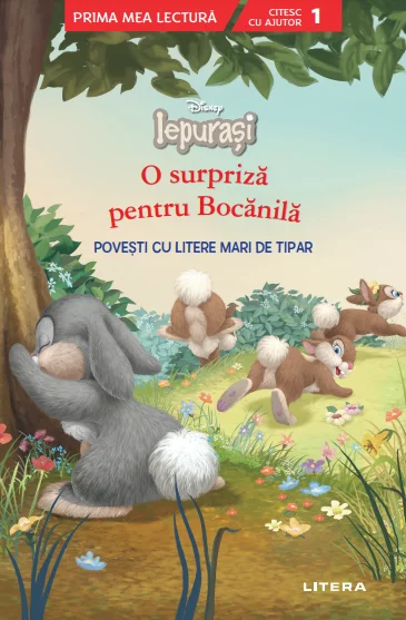 Disney Iepurasi. O surpriza pentru Bocanila. Povesti cu litere mari de tipar (Nivelul 1)