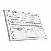 Dispozitie plata catre casierie, A6, 100 file, fata-verso, 3 bucati/set