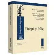 Drept public. Drept contraventional. Drept penal - Mihaela Cristina Mocanu
