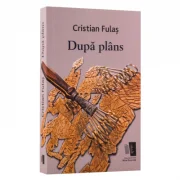 Dupa Plans - Cristi Fulas