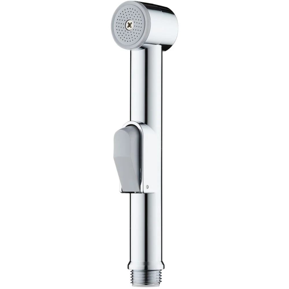 Dus igienic Deante Bidetta crom lucios