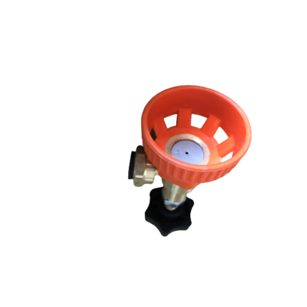 Duze compatibie BSR / DVS - Gardelina