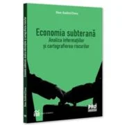 Economia subterana: analiza informatiilor si cartografierea riscurilor - Dan-Andrei Coca